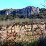 Grimpe au Caussanel