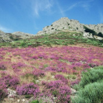 Grandes Voies Faciles dans le Caroux