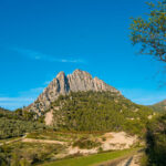 Week end à Buis-les-Baronnies