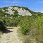 Sortie découverte en falaise à Cazevieille - journée portes ouvertes - COMPLET