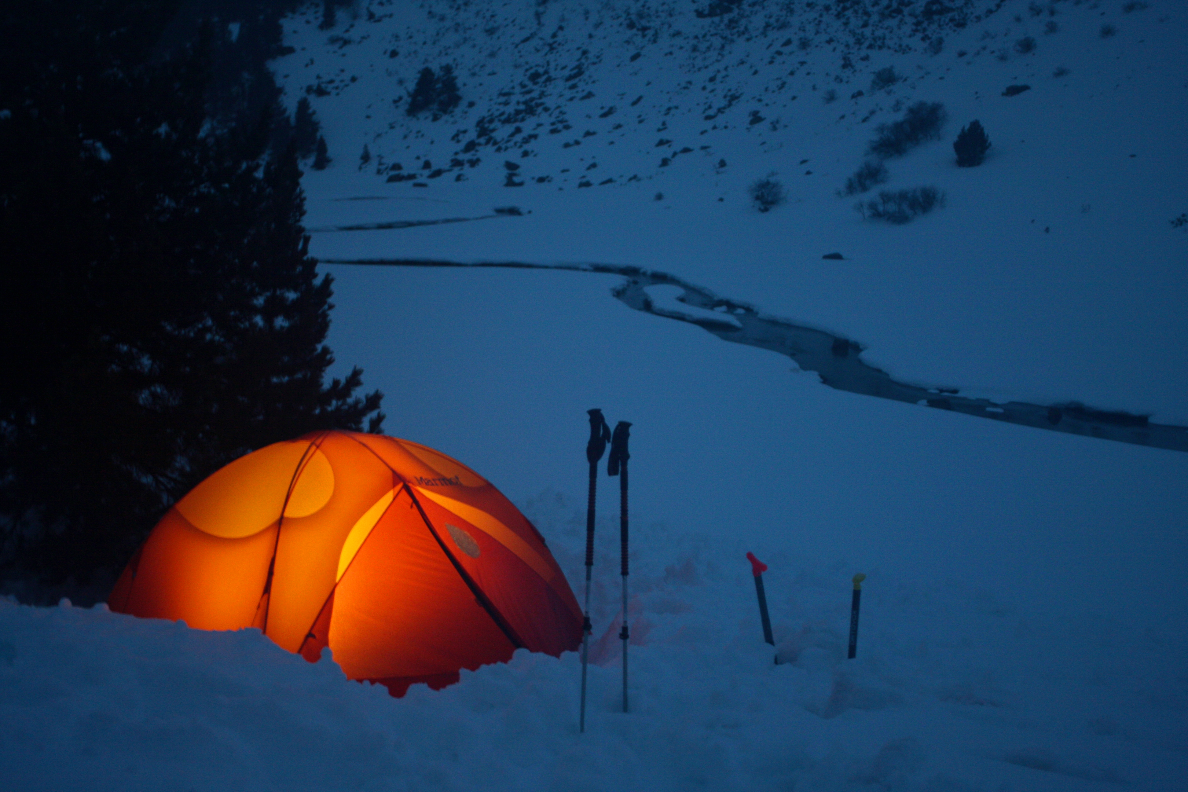 Week-end de Noël sauvage - Vallée de Campcardos (Porta) - ANNULE
