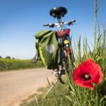 Modifié - Weekend=> SAMEDI  Vélotical au Joncas (bien lire avant de s'inscrire)