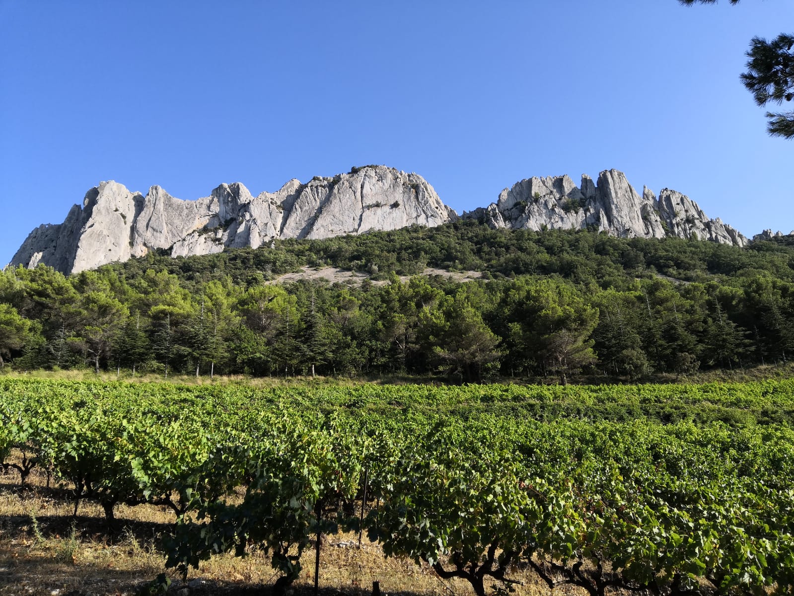 Course d'arêtes et Grandes Voies aux Dentelles de Montmirail